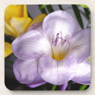 Gefrierfisch Getränkeuntersetzer