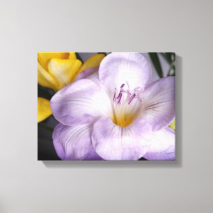 Gefrierfisch Leinwanddruck