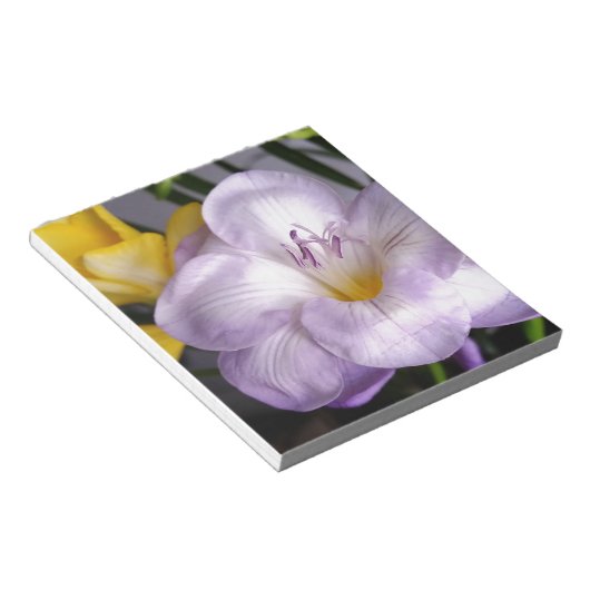 Gefrierfisch Notizblock (angewinkelt)