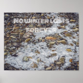 Gefriergebirgsbach Poster (Vorne)