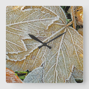 Gefriergefrorene Blätter Wall Clock Quadratische Wanduhr