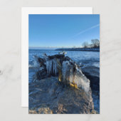 Gefriergefrorene Landschaftsbilder am See (Vorne/Hinten)