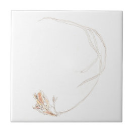 Gefriergetrocknet 1 fliese