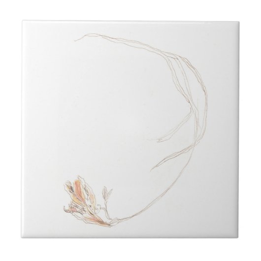 Gefriergetrocknet 1 fliese (Vorderseite)