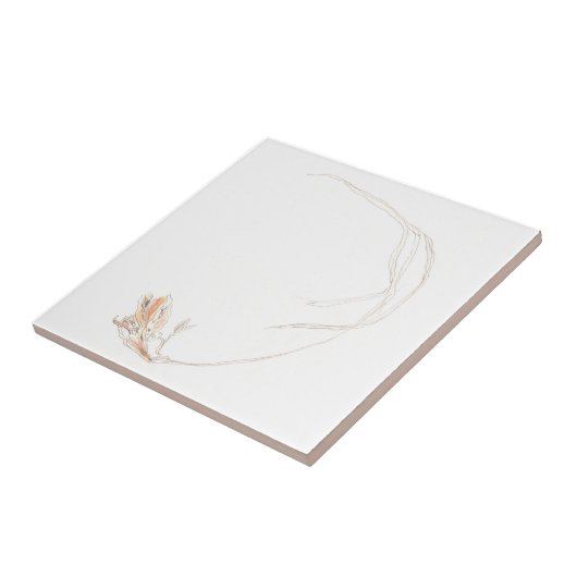 Gefriergetrocknet 1 fliese (Seite)