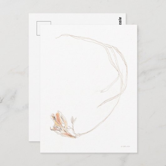 Gefriergetrocknet 1 postkarte (Vorne/Hinten)