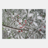 gefroren geschenkpapier set (Vorderseite 3)