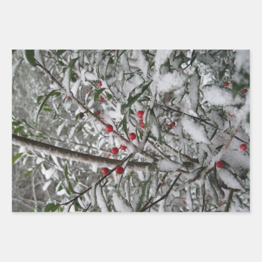 gefroren geschenkpapier set (Vorderseite 3)