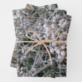 gefroren geschenkpapier set (Beispiel)