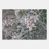 gefroren geschenkpapier set (Vorderseite)