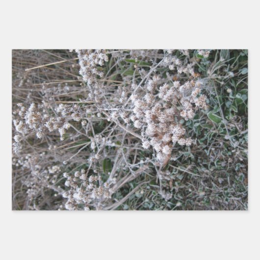 gefroren geschenkpapier set (Vorderseite)