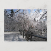 gefroren postkarte (Vorderseite)