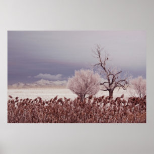 Gefrorene Ansicht von Antelope Island - Utah - Pos Poster