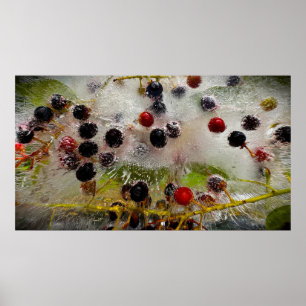 Gefrorene Beeren, Poster