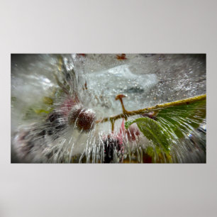 Gefrorene Beeren, Poster