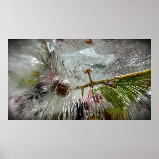 Gefrorene Beeren,  Poster (Vorne)