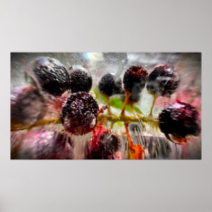 Gefrorene Beeren, Poster
