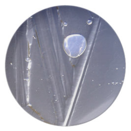 Gefrorene Blase Teller
