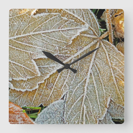 Gefrorene Blätter Wanduhr (Vorderseite)