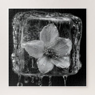 Gefrorene Blume Schmelzendes Eis Puzzle