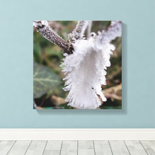 gefrorene Feder Leinwanddruck (Insitu (Holzboden))