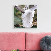 gefrorene Feder Leinwanddruck (Insitu (Wohnzimmer))