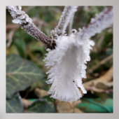 gefrorene Feder Poster (Vorne)