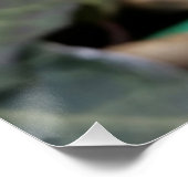 gefrorene Feder Poster (Ecke)