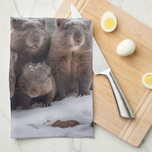Gefrorener Bau: Australische Wombat-Familie Geschirrtuch