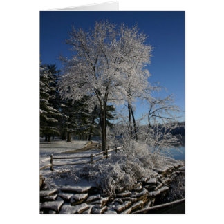 Gefrorener Baum