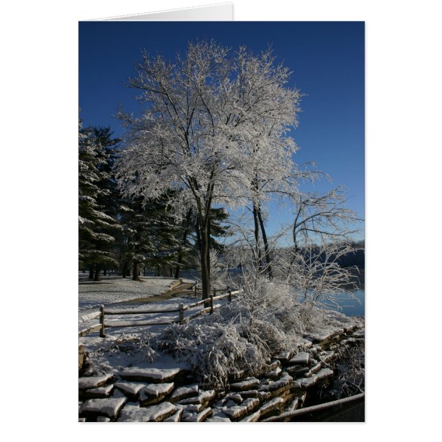 Gefrorener Baum (Vorne)