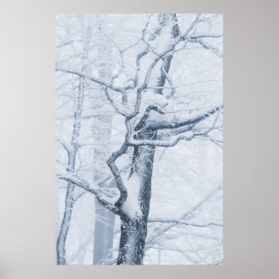 Gefrorener schneebedeckter Baum Poster