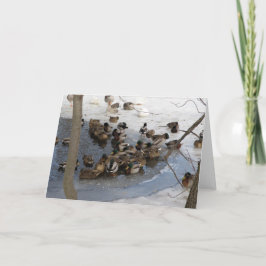 Gefrorener Teich mit Enten Feiertagskarte
