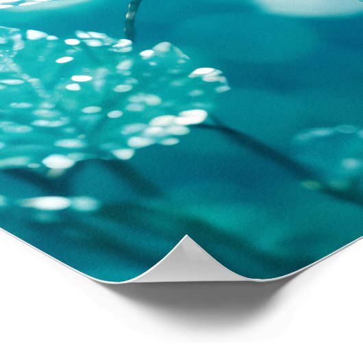 Gefrorener Übergang: Blätter Erwachen Poster (Ecke)