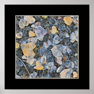 Gefrorenes Blätter Poster