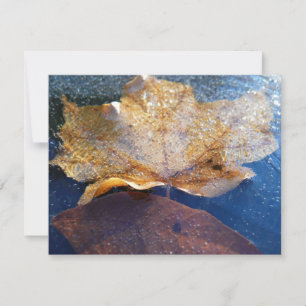 Gefrorenes gelbes Ahornblatt Herbst Natur