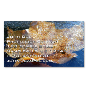 Gefrorenes gelbes Ahornblatt Herbst Natur Magnetische Visitenkarte