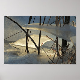 Gefrorenes Marsch-Eis Maine Winterlandschaft Poster