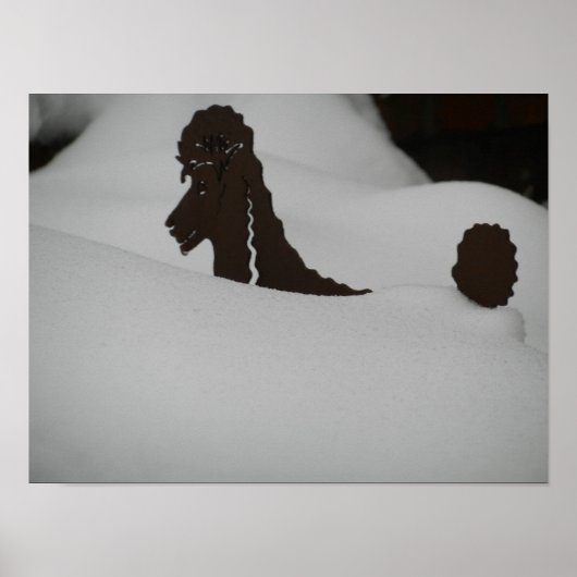 Gefühl begraben? Poodle im Schnee Poster (Vorne)