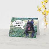 Gefühl-bessere bald französische Bulldoggen-Karte Karte (Gelbe Blume)