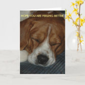 Gefühl Bessere Karte mit Beagle (Gelbe Blume)