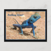 Gefühl blau wird gut Karte (Vorderseite)