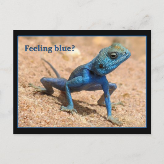 Gefühl blau wird gut Karte (Vorderseite)