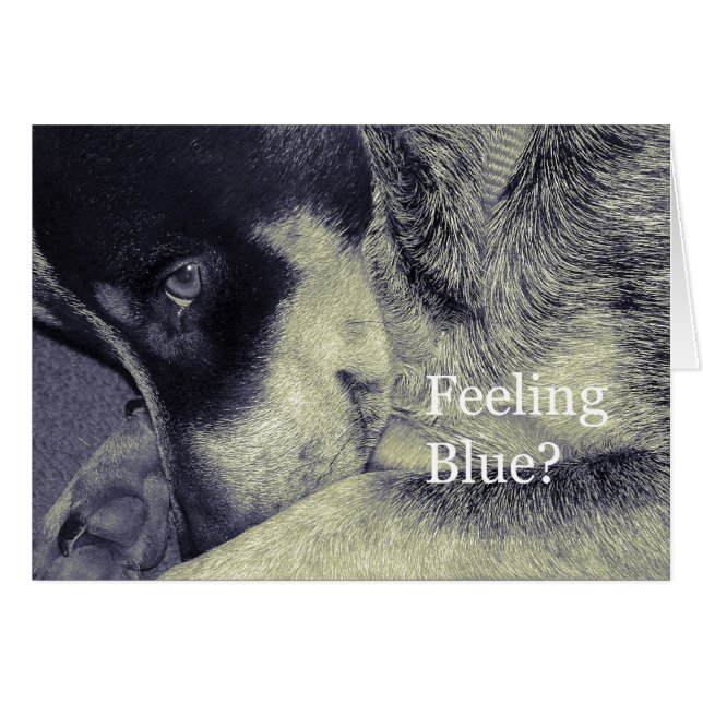 Gefühl Blue (Vorderseite (Horizontal))