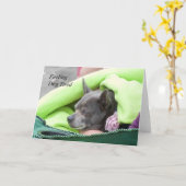 Gefühl Dog Tired (Chihuahua) - Kunstkarte Karte (Gelbe Blume)