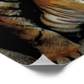 Gefühl Frisky ? Poster (Ecke)