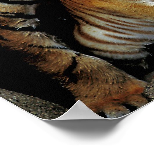 Gefühl Frisky ? Poster (Ecke)