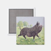 Gefühl Great Magnet (Vorderseite/Rückseite)