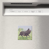 Gefühl Great Magnet (In Situ (Geschirrspüler))