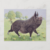 Gefühl Great Postkarte (Vorderseite)